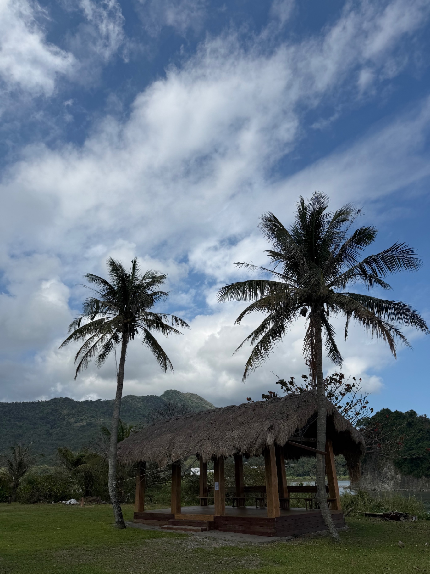 Thatched hut between two palms beneath coastal mountains