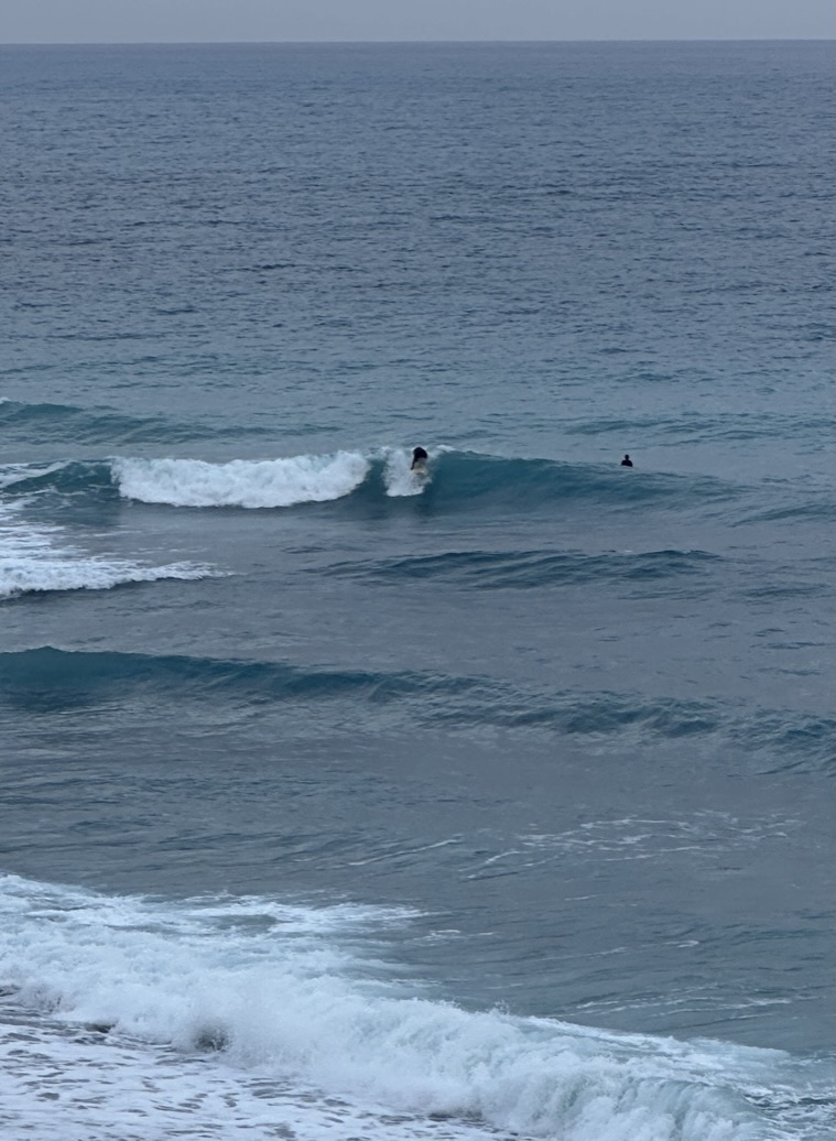 Lone surfer dropping in on a grey Pacific wave