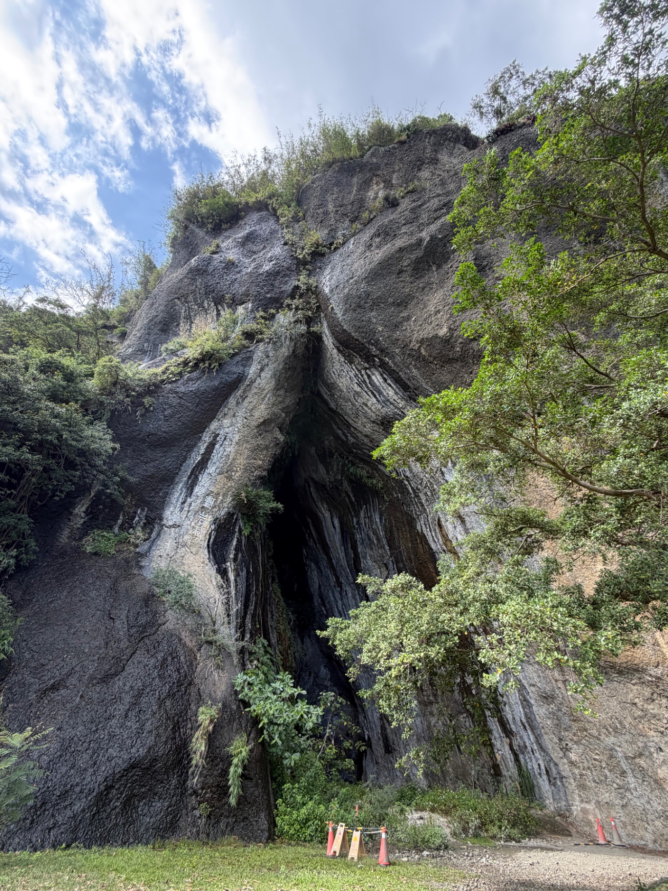 Towering jungle-draped limestone cave along the coast